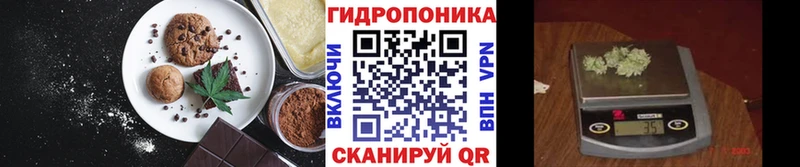 дарнет шоп  Лодейное Поле  Печенье с ТГК конопля 
